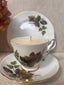 Royal Stafford Beechwood Teacup Candle — Pumpkin & Persimmon